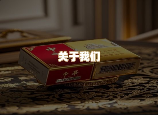 关于蓝帝网